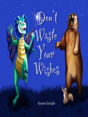 cover image of Don't Waste Your Wishes
